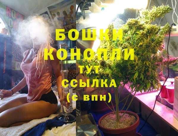 гашик Алексеевка