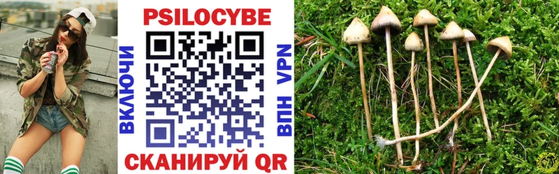 Псилоцибиновые грибы Psilocybine cubensis  Нея 